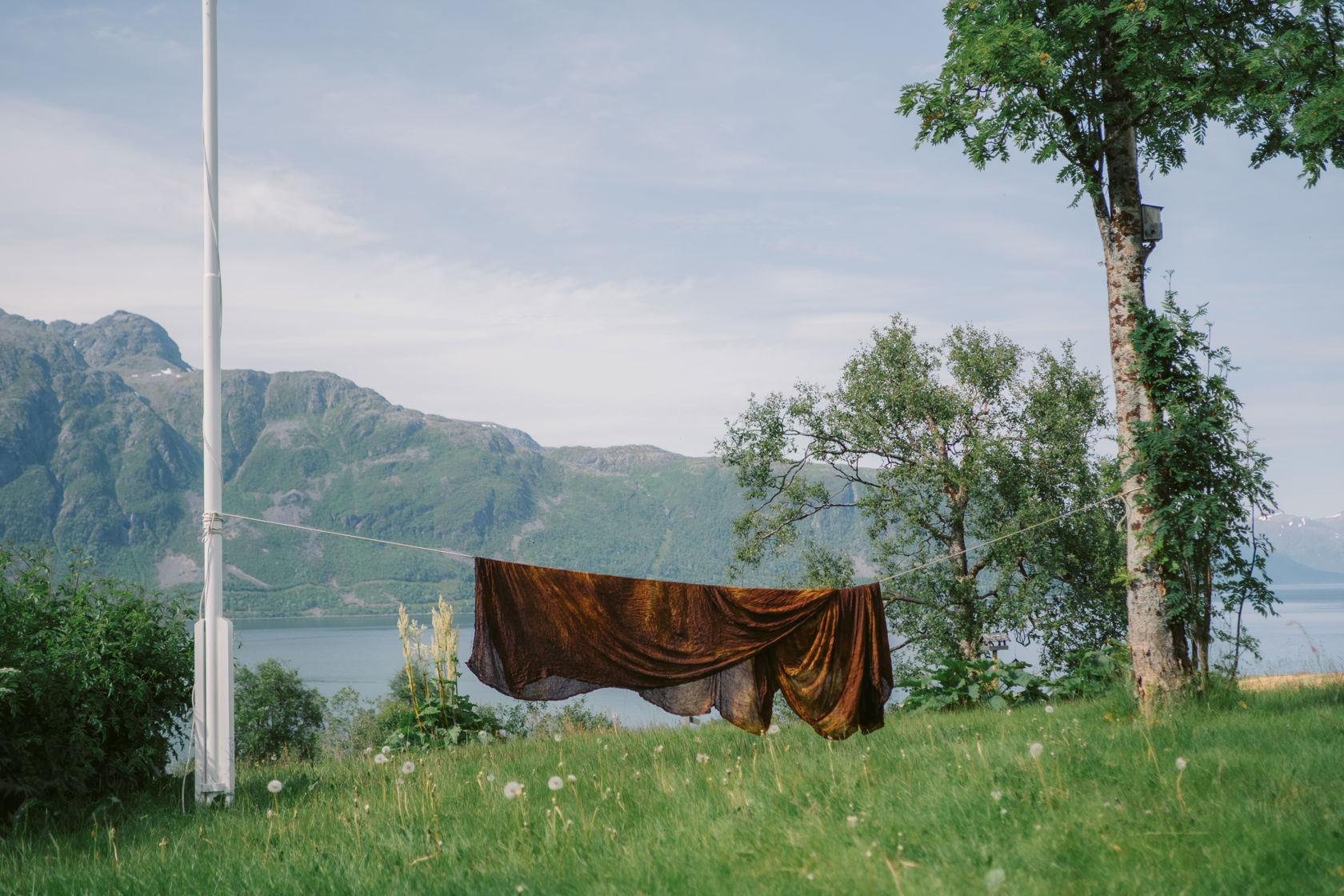 Tørkesnor ute i en hage med et brunt teppe til tørk. Fjell og fjord i bakgrunn.